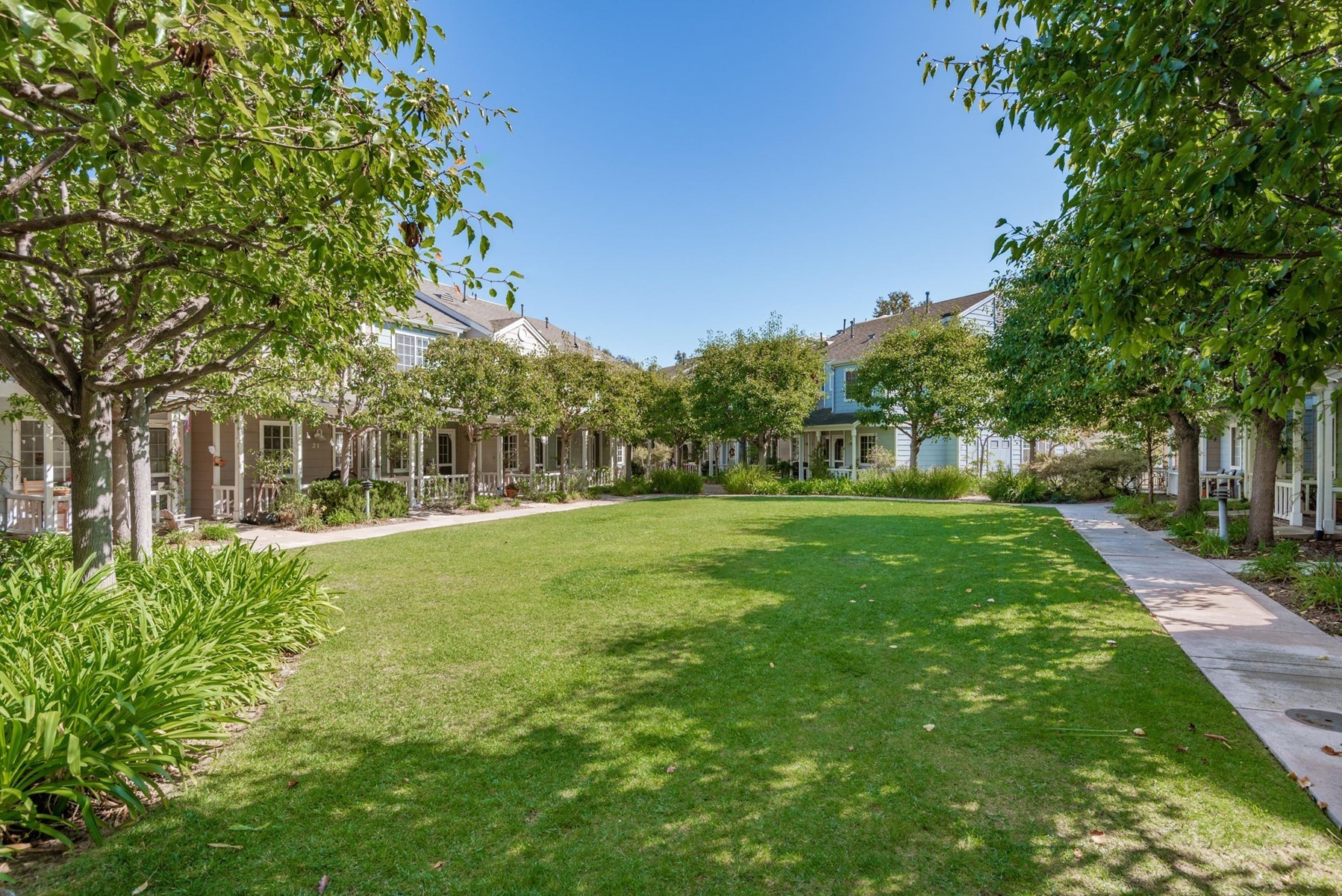 4692 Carpinteria Ave #10 photo 5